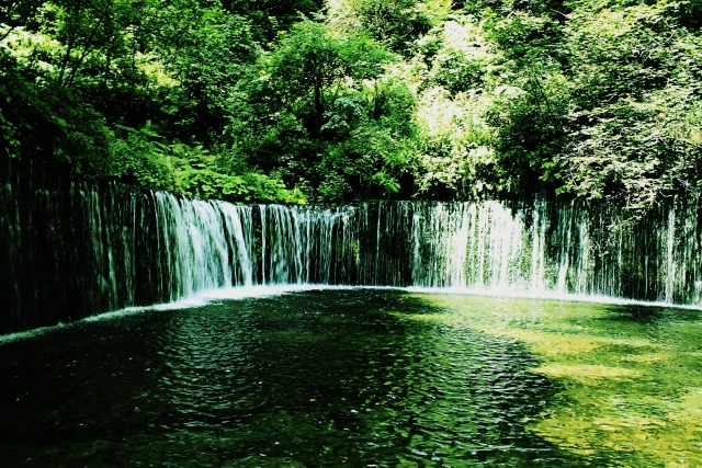 滝